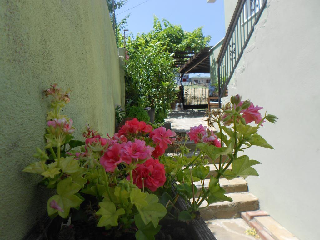 Irmak Family Pension & Apartments Eceabat Oda fotoğraf